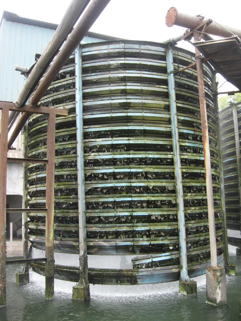 Algae in cooling tower and fouling in compressor cooling