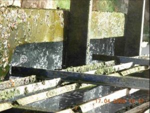 Algae in the cooling tower Algae in the cooling tower