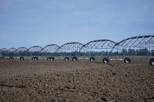 Artificial irrigation in agriculture using pivots
