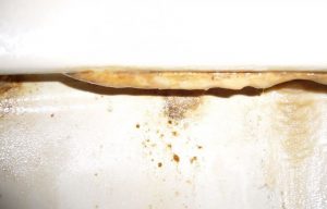 Urine stone in a toilet